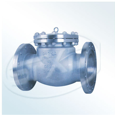 專業品質，值得信賴——廈門雙特閥門廠美標法蘭不銹鋼旋啟式止回閥深度解析